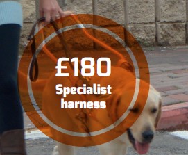 Specialist harness