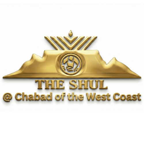 organization-logo