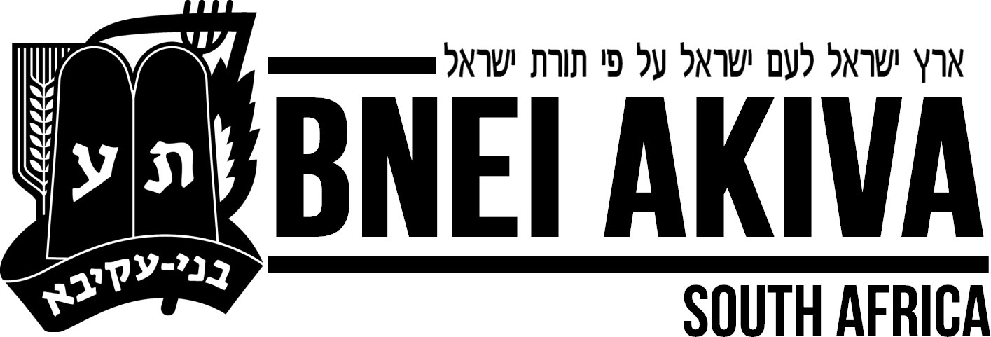 organization-logo